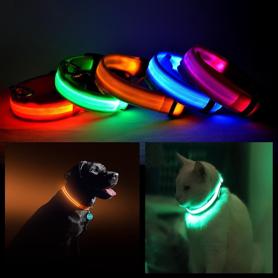Color: BLUE,Size: SMALL - LED PET Safety Halo Style Collar NestLinkStore